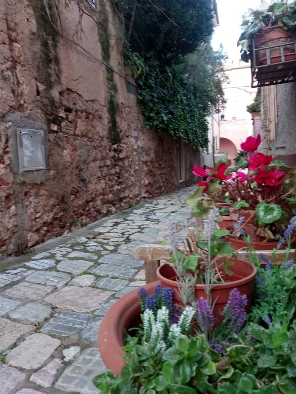 Poglio