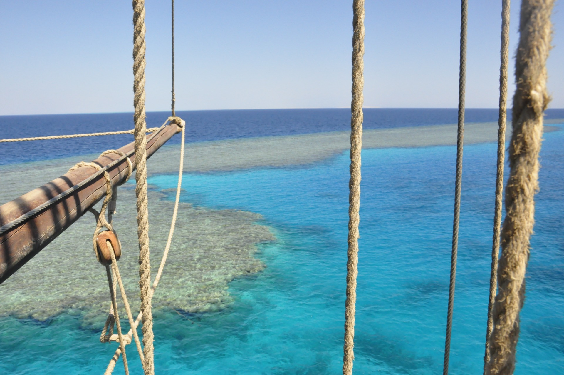 Korálové reefy - Egypt