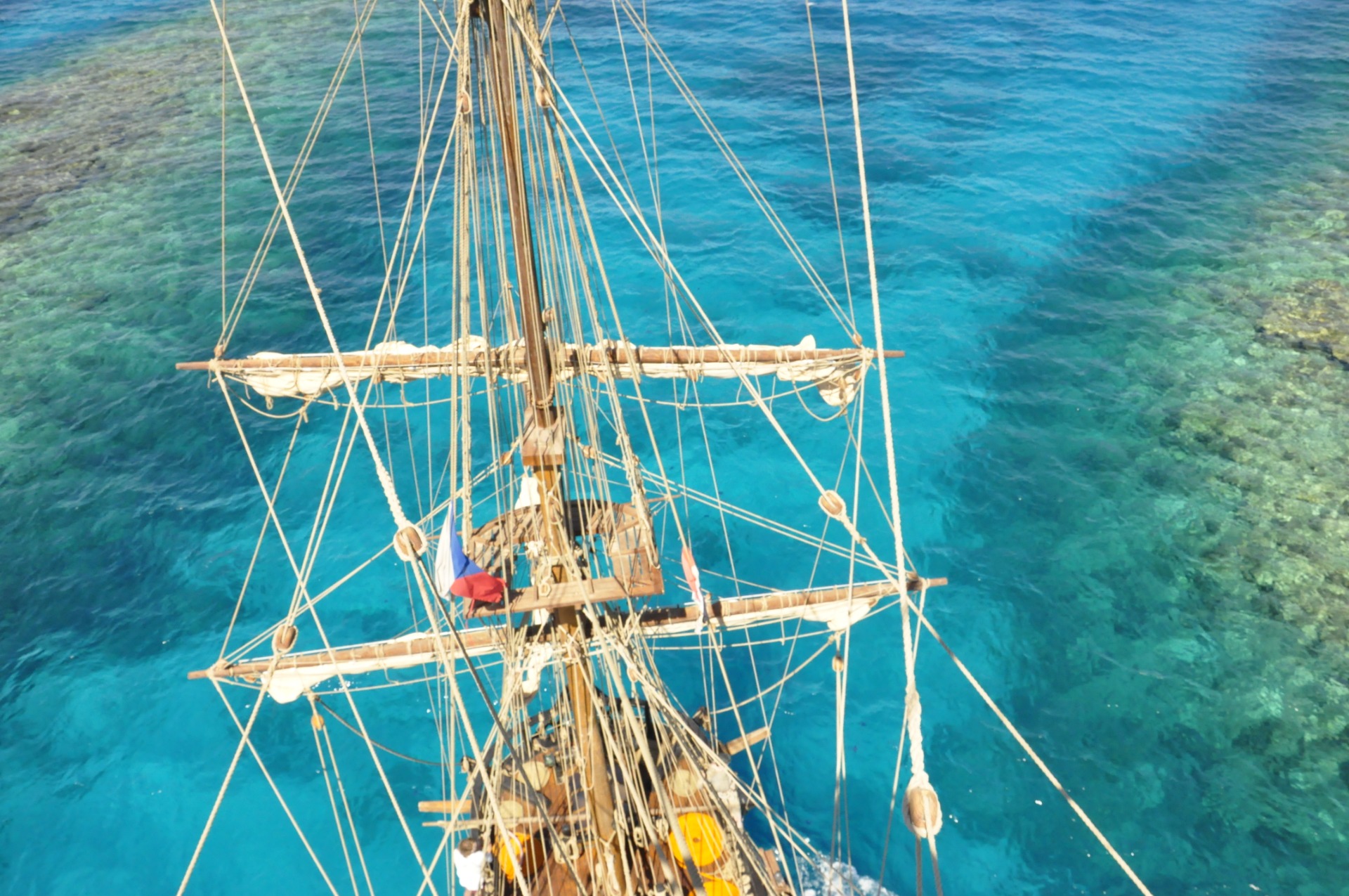 Korálové reefy - Egypt